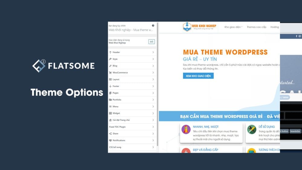 Theme option tổng quan của Flatsome