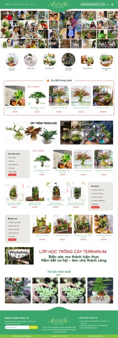 Theme wordpress bán cây xanh terrarium